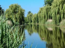 les reflets dans la rivière photo