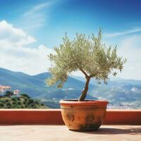 olive arbre dans terra cotta argile pot sur blanc terrasse en dessous de clair bleu ciel avec magnifique montagnes vue génératif ai photo