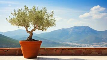 olive arbre dans terra cotta argile pot sur blanc terrasse en dessous de clair bleu ciel avec magnifique montagnes vue génératif ai photo