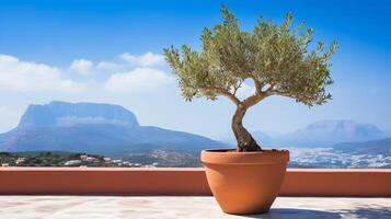 olive arbre dans terra cotta argile pot sur blanc terrasse en dessous de clair bleu ciel avec magnifique montagnes vue génératif ai photo