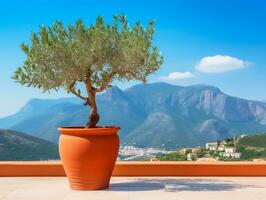 olive arbre dans terra cotta argile pot sur blanc terrasse en dessous de clair bleu ciel avec magnifique montagnes vue génératif ai photo