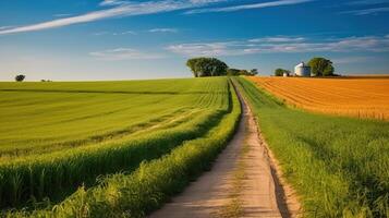 pays route dans grain champ, génératif ai photo