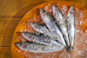 une assiette de sardines sur la glace photo