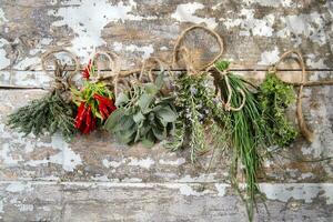 une bouquet de herbes pendaison sur une mur photo