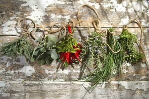 une bouquet de herbes pendaison sur une mur photo