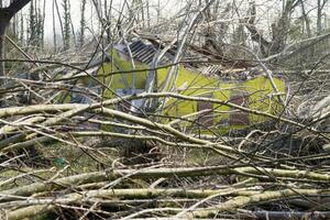 une champ de des arbres photo