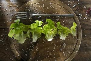 assiette de salade photo