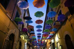 parapluies de différent couleurs photo