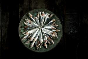 brut anchois dans plat photo