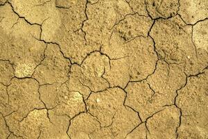 terre endommagé par sécheresse photo