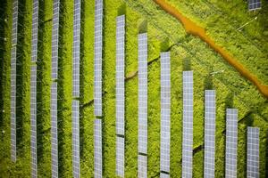 séries de photovoltaïque panneaux photo