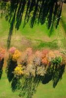 l'automne vu de au dessus photo