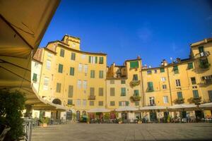 piazza de le amphithéâtre de Lucca photo