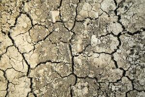 le effets de sécheresse sur le Terre photo