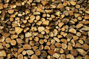 Stock de bois de chauffage pour le hiver photo