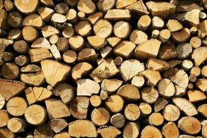 Stock de bois de chauffage pour le hiver photo