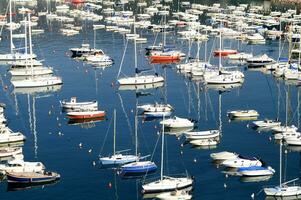 le bateaux sont tout blanc photo