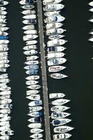 une grand nombre de bateaux dans une Marina photo