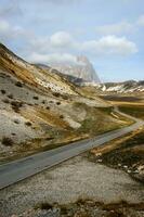 une route avec une Arrêtez signe dans le milieu de une champ photo