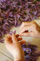 une la personne est Coupe fleurs photo