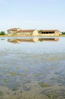 ancien fermes dans le riz des champs dans vercelles Italie photo