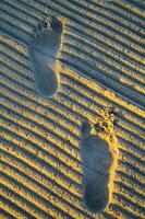 traces de pas dans le sable photo