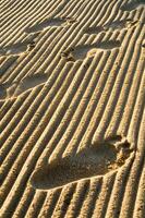 traces de pas dans le sable photo