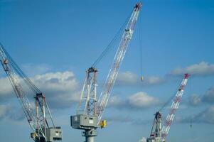 Trois grues sont permanent dans de face de une bleu ciel photo