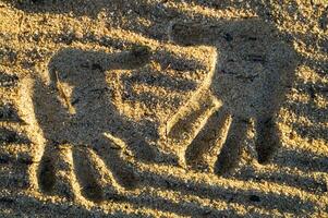 une main impression dans le le sable avec deux mains photo