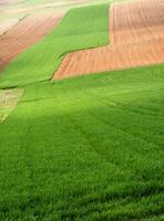 campagne vue dans printemps photo