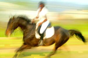 une la personne équitation une cheval photo