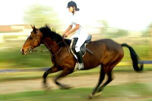 une la personne équitation une cheval photo