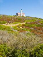 une blanc et rouge phare photo