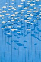 une grand groupe de poisson sur une bleu Contexte photo