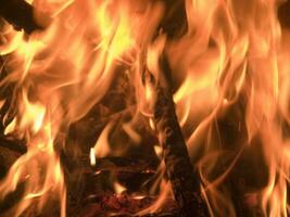 une Feu est brûlant dans une brique four photo