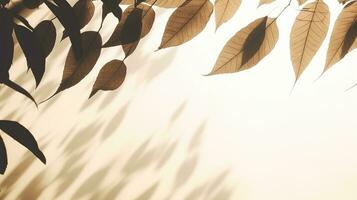 silhouette feuilles gracieusement jeter translucide ombres sur une neutre toile de fond embrassé par Matin lumière du soleil photo