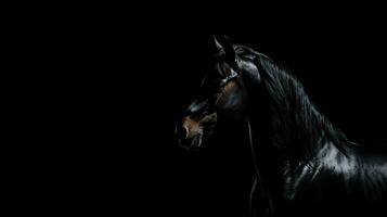 noir Contexte avec isolé cheval silhouette photo
