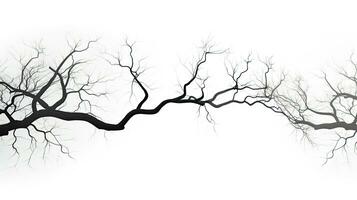 blanc Contexte avec branche silhouette photo