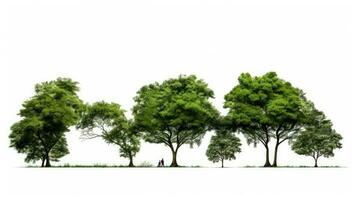 isolé vert arbre sur blanc Contexte photo