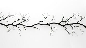 contour de arbre branches sur une blanc toile de fond photo