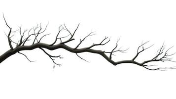 silhouette de une arbre branche sur blanc Contexte photo