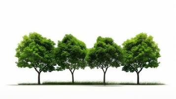 isolé vert arbre sur blanc Contexte photo