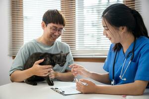 professionnel vétérinaire médecin aide chat. propriétaire chat en portant animal de compagnie sur mains. chat sur examen table de vétérinaire clinique. vétérinaire se soucier. vétérinaire médecin et chat photo