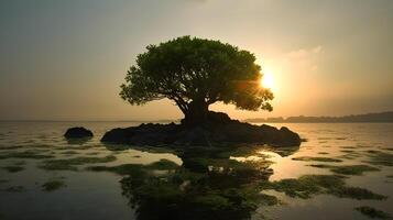 tranquille Lac à coucher de soleil, la nature beauté réfléchi dans calme sauvage marais. silhouette de une arbre. ai généré photo