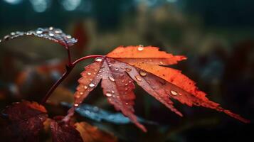 proche en haut humide rouge Japonais érable feuilles avec l'eau laissez tomber dans le la nature Contexte. ai généré photo