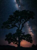 une majestueux arbre silhouette contre une toile de fond de le vaste nuit ciel rempli avec étoiles ai généré photo