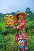 une thé feuille agriculteur posant avec une bambou panier dans le sien mains de bonne heure photo