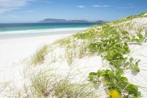 plage de sable blanc à rio de janeiro photo