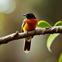 ai génératif oiseau sur arbre branche photo