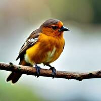 ai génératif oiseau sur arbre branche photo